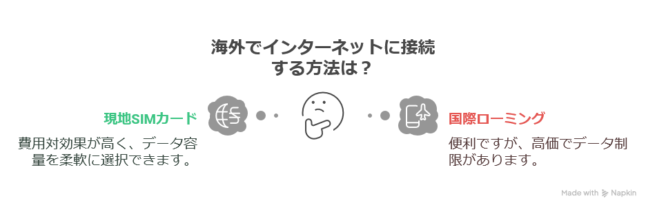 MR10LNの海外利用
